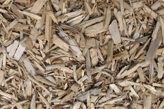 biomass boilers Davyhulme